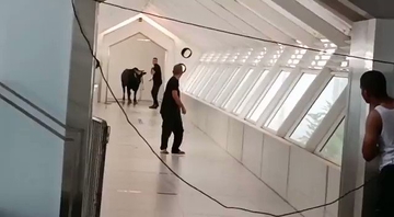  Bik ušao u banku, tjerali ga plastičnim čunjevima (FOTO)