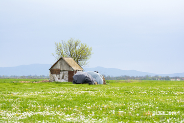 Temperatura do 33 stepena: U BiH i sutra sunčano i toplo