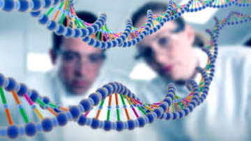 Studija o porijeklu Balkanaca pokazala: Nema razlike među narodima