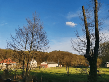 Sunčano, do 20 stepeni