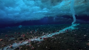 Nerazjašnjen fenomen: Ledeni prst smrti snimljen u okeanu (video)
