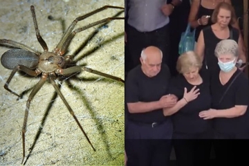 Grka ugrizao otrovni pauk, iako ga ništa nije boljelo umro je za tri dana