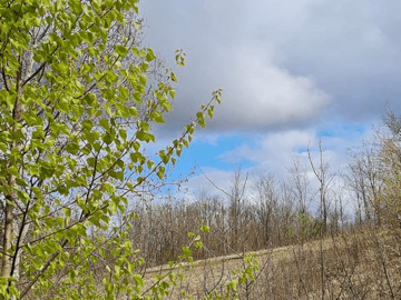 Promjenljivo oblačno i sunčano