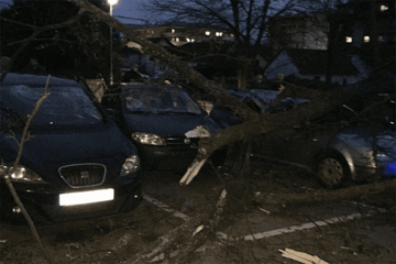 Vjetar pravi štetu u Banjaluci, stabla pala na parkirane automobile