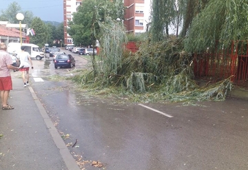 NEVRIJEME U MILIĆIMA Jak vjetar i kiša rušili stabla, iščupali dimnjak i uništili nekoliko automobila