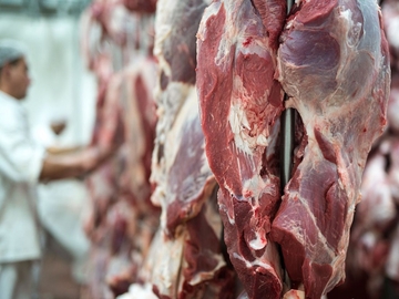 Ukinute veterinarske kontrole pri izvozu mesa iz BiH