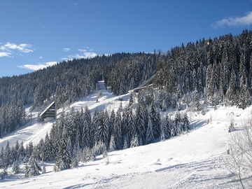 IGMAN Zbog psa repetirao pištolj u pravcu porodice koja je šetala planinom