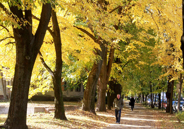 Temperatura do 20 stepeni: U BiH sutra će preovladavati oblačno vrijeme sa maglom prije podne