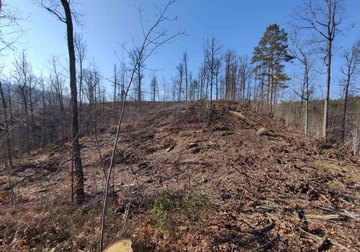 EKOLOŠKA KATASTROFA Potpuno ogoljeni dijelovi šume oko Teslića, krivci na slobodi 