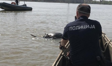 Tijela tri utopljenika danas pronađena u Beogradu