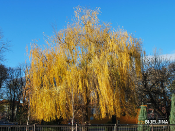 SUTRA SUNČANO I TOPLO Tokom jutra moguća magla, a popodne vedro, temperature do 22 stepena