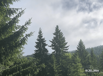 Danas oblačno, kiša i pljuskovi poslije podne u većini krajeva