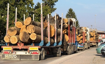 Drvna industrija BiH: Za šest mjeseci suficit 725,7 miliona KM