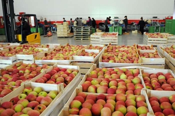 EU donira 15 vozila za potrebe fitosanitarne inspekcije