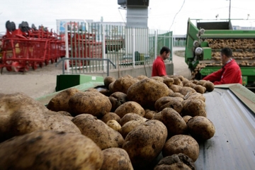 Prerađivači “pogurali” izlazak iz krize