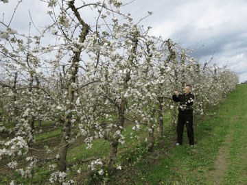 POVOLJNIJA PROGNOZA Vremenske prilike pogoduju radovima na otvorenom