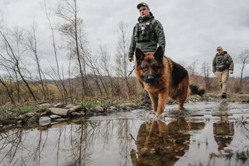 New York Times: Ukrajinski muškarci napuštaju zemlju plivajući i planinskim stazama