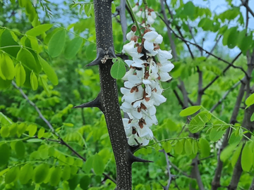 Promjenljivo i malo svježije