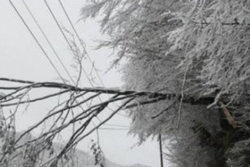 Novi snijeg na Žabljaku