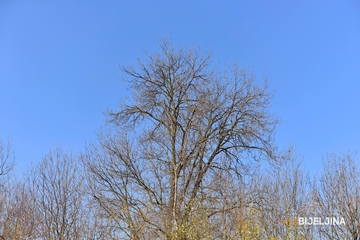 Do kraja sedmice promjenjivo vrijeme: Najviše dnevne temperature i do 17 stepeni Celzijusovih