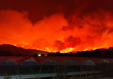 "OVO JE APOKALIPSA" Požari u Grčkoj se ne smiruju, poginulo dvoje ljudi 