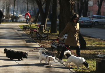 U Zvorniku prijavljen povećan broj napada pasa: Policija kontroliše držanje i izvođenje kućnih ljubimaca