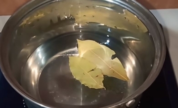 Tjera viruse i mikrobe: Ljekovita svojstva lovora