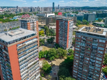 Pacovi ulaze u WC šolju: Stručnjak otkrio šta se dešava u Beogradu