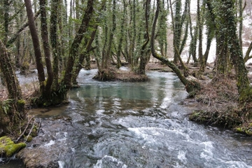 Bosna i Hercegovina ima čak 12 prašuma