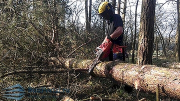 Manja proizvodnja i prodaja šumskih sortimenata