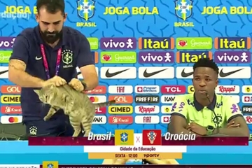 Mačka prekinula konferenciju Brazila, portparol je bacio sa stola i šokirao javnost /VIDEO/