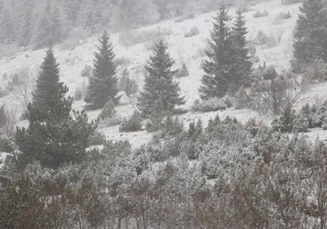 Pale prve pahulje u Sloveniji