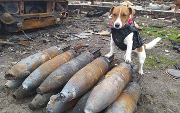UŽIVO /VIDEO/ Ulične borbe u Sjeverodonjecku; Lansiran Harpun; Tužna snimka iz Mariupolja;Kina se sprema na "najgore"!; Rusija "integriše" zauzeto,državljanstva usvojena;