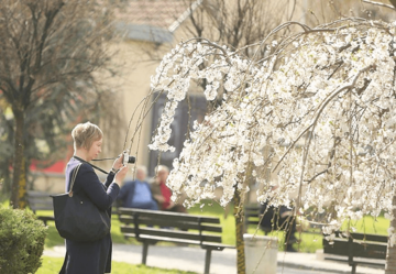 PRAVI PROLJEĆNI DAN U BiH sutra sunčano i toplije